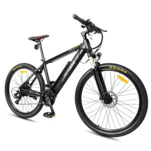 Electric Bike 750W 48V Mountain Ebikes 26" with 13AH Removable