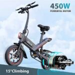 450W Electric Bike