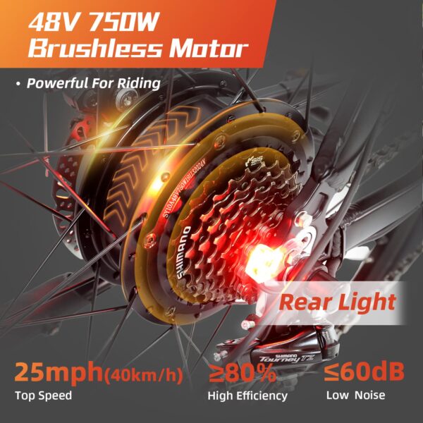 Electric Bike 750W 48V Mountain Ebikes 26" with 13AH Removable