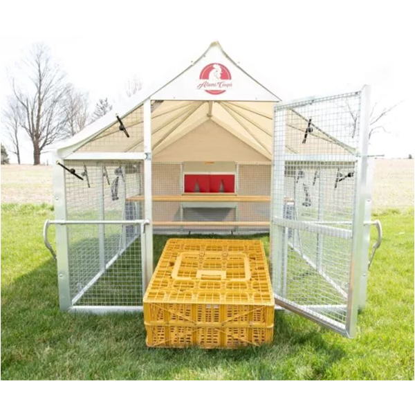 Chicken Coop