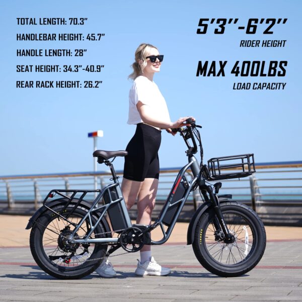 750W Electric Bike for Adults